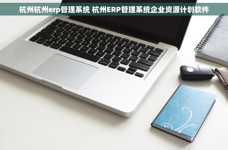 杭州杭州erp管理系统 杭州ERP管理系统企业资源计划软件