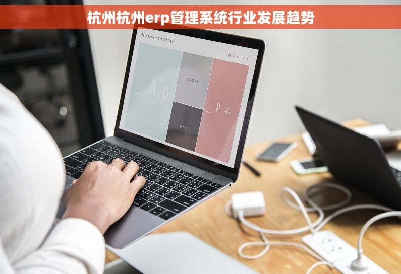 杭州杭州erp管理系统行业发展趋势