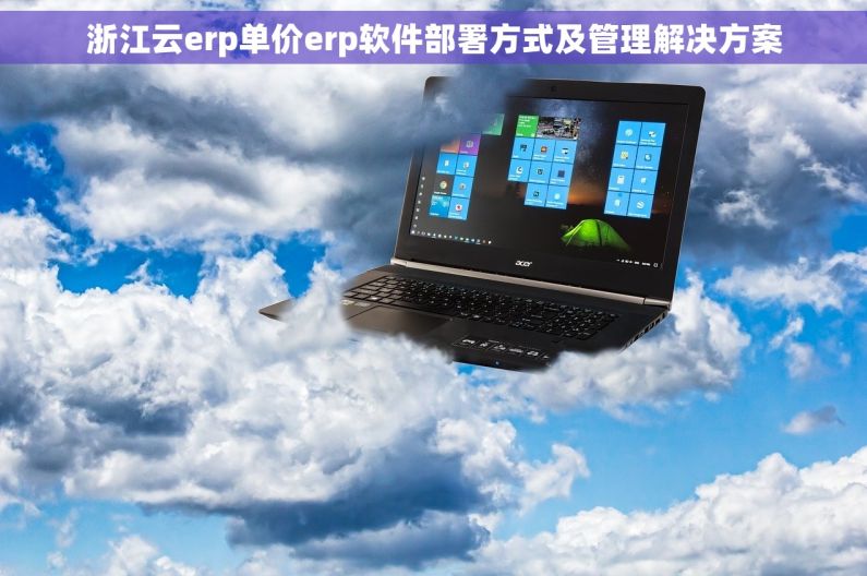 浙江云erp单价erp软件部署方式及管理解决方案
