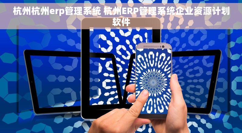 杭州杭州erp管理系统 杭州ERP管理系统企业资源计划软件
