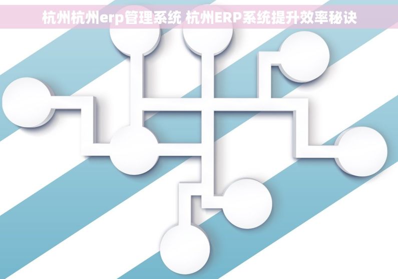 杭州杭州erp管理系统 杭州ERP系统提升效率秘诀