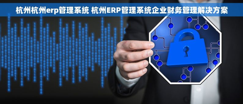杭州杭州erp管理系统 杭州ERP管理系统企业财务管理解决方案