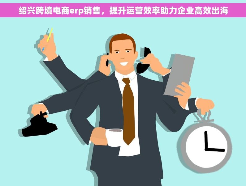 绍兴跨境电商erp销售，提升运营效率助力企业高效出海