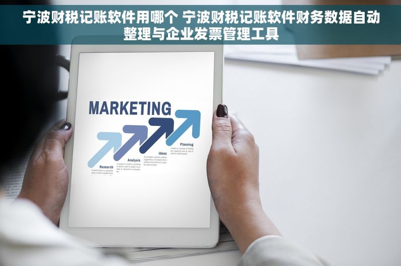 宁波财税记账软件用哪个 宁波财税记账软件财务数据自动整理与企业发票管理工具