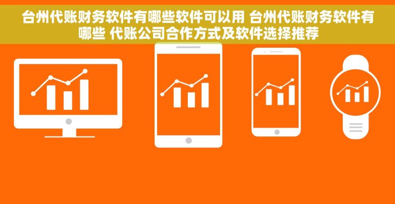 台州代账财务软件有哪些软件可以用 台州代账财务软件有哪些 代账公司合作方式及软件选择推荐