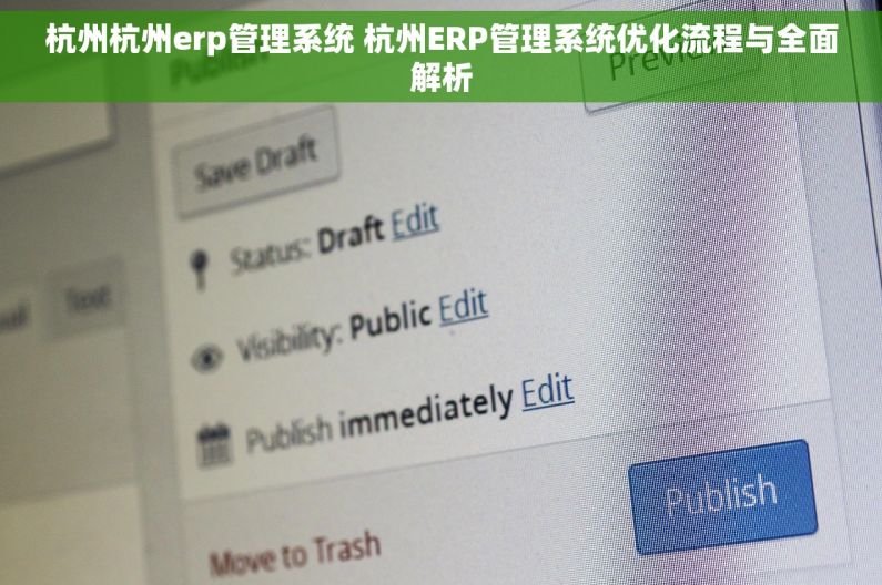 杭州杭州erp管理系统 杭州ERP管理系统优化流程与全面解析