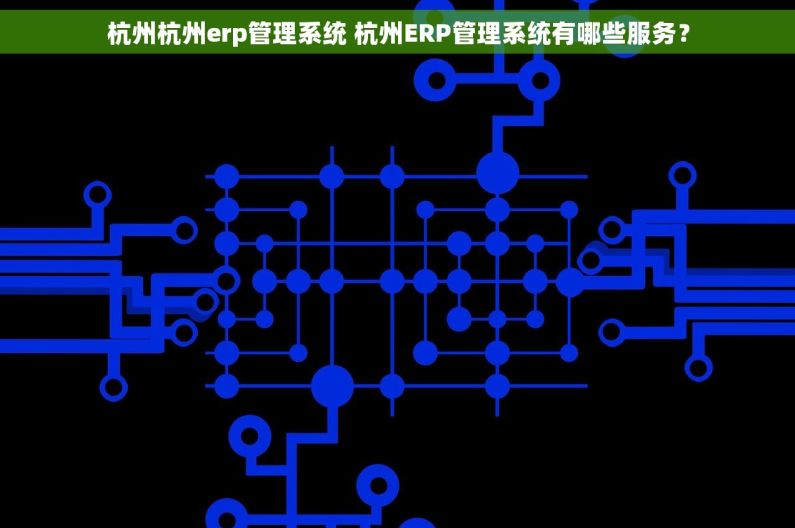 杭州杭州erp管理系统 杭州ERP管理系统有哪些服务？