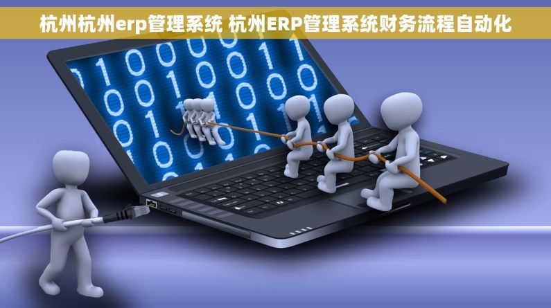 杭州杭州erp管理系统 杭州ERP管理系统财务流程自动化