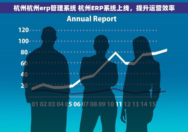 杭州杭州erp管理系统 杭州ERP系统上线，提升运营效率
