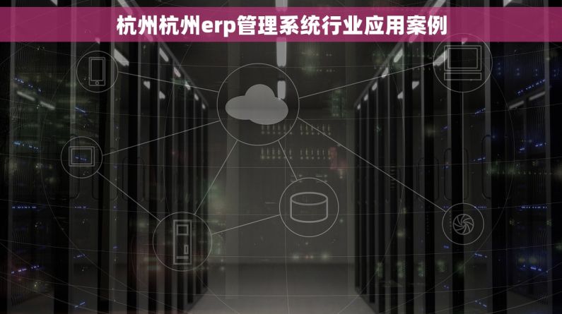 杭州杭州erp管理系统行业应用案例