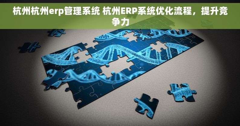杭州杭州erp管理系统 杭州ERP系统优化流程，提升竞争力