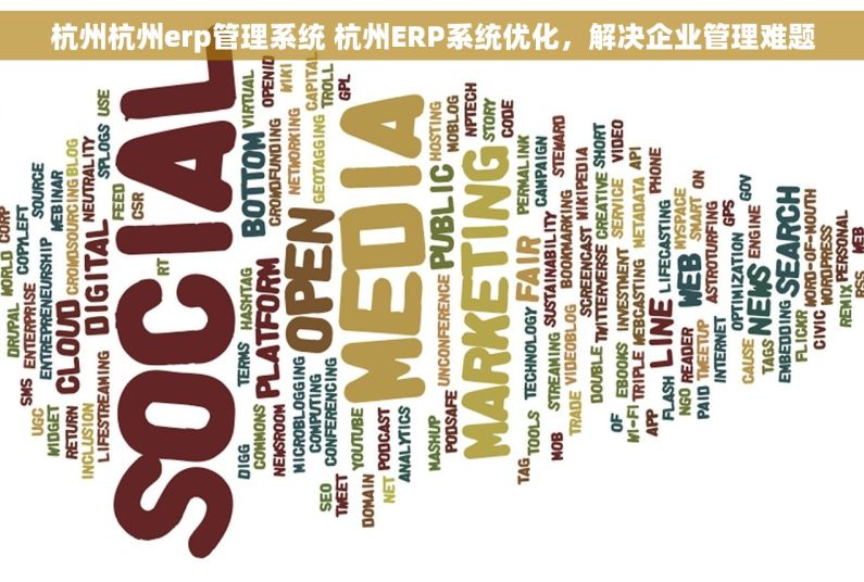 杭州杭州erp管理系统 杭州ERP系统优化，解决企业管理难题