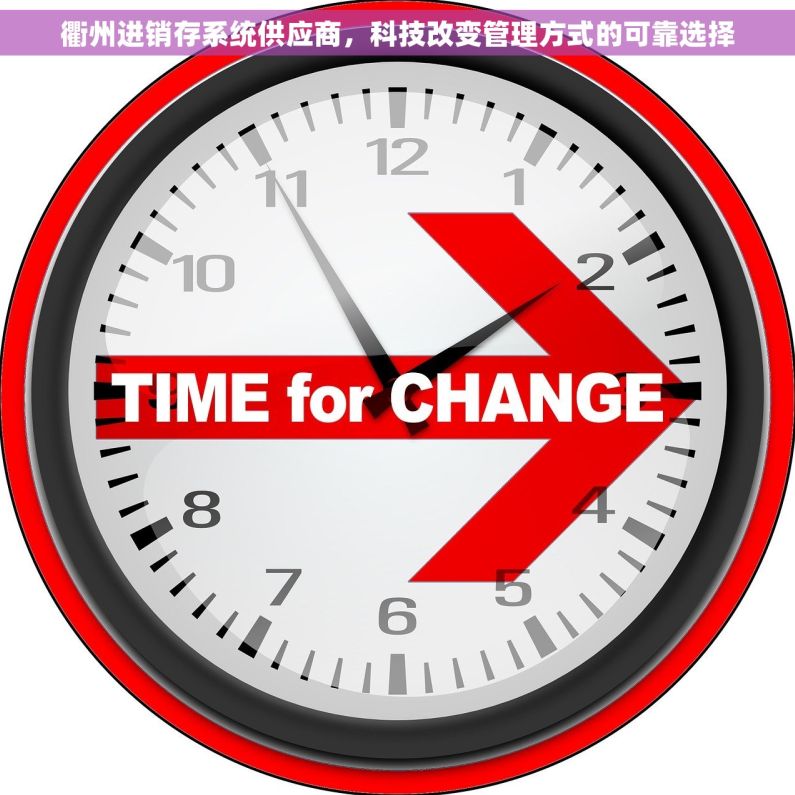衢州进销存系统供应商，科技改变管理方式的可靠选择