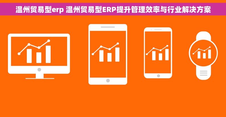 温州贸易型erp 温州贸易型ERP提升管理效率与行业解决方案