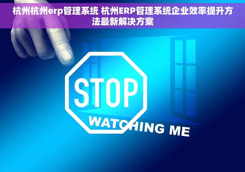 杭州杭州erp管理系统 杭州ERP管理系统企业效率提升方法最新解决方案