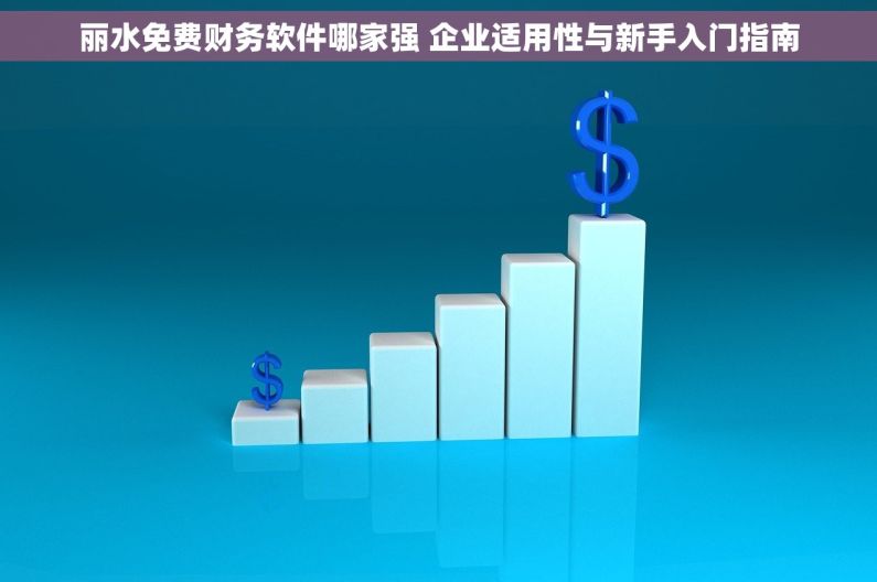 丽水免费财务软件哪家强 企业适用性与新手入门指南