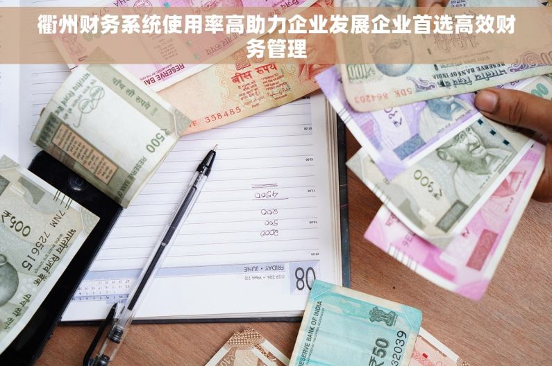 衢州财务系统使用率高助力企业发展企业首选高效财务管理