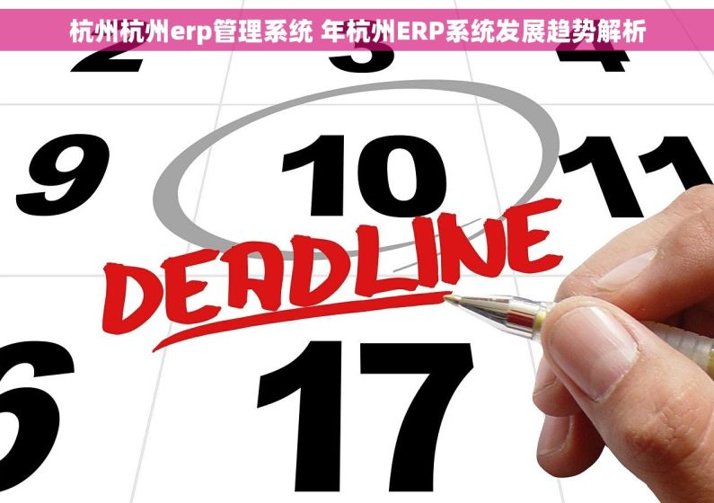 杭州杭州erp管理系统 年杭州ERP系统发展趋势解析