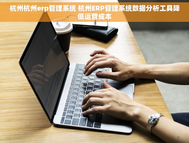 杭州杭州erp管理系统 杭州ERP管理系统数据分析工具降低运营成本