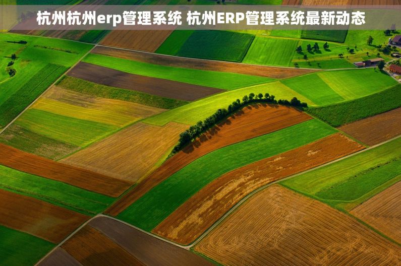 杭州杭州erp管理系统 杭州ERP管理系统最新动态