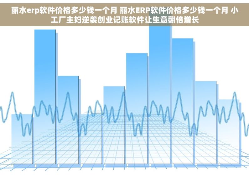 丽水erp软件价格多少钱一个月 丽水ERP软件价格多少钱一个月 小工厂主妇逆袭创业记账软件让生意翻倍增长