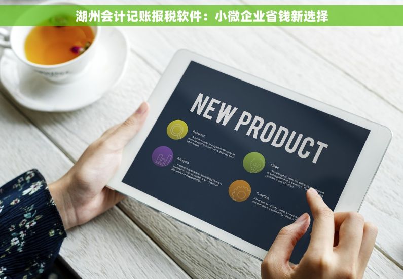 湖州会计记账报税软件：小微企业省钱新选择