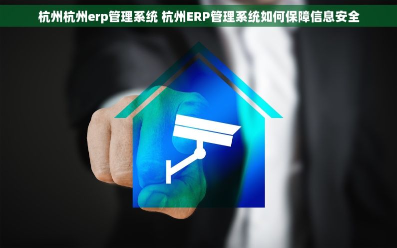 杭州杭州erp管理系统 杭州ERP管理系统如何保障信息安全