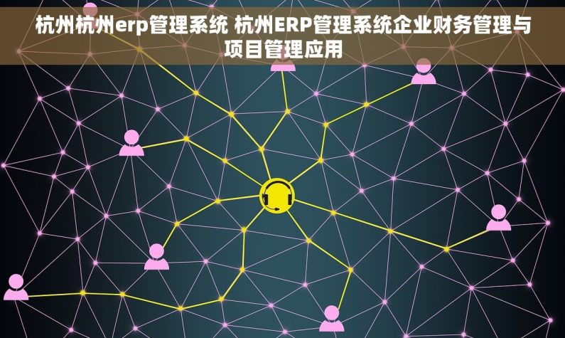 杭州杭州erp管理系统 杭州ERP管理系统企业财务管理与项目管理应用