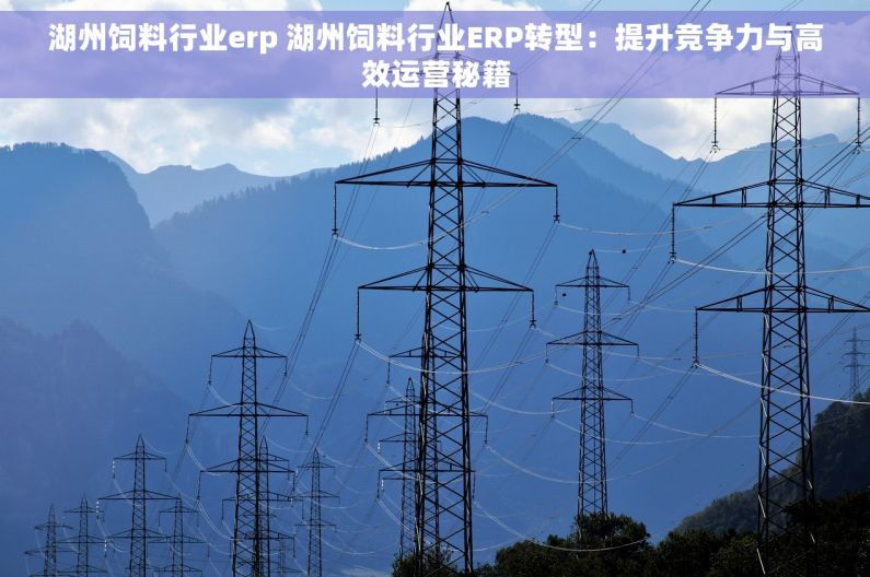 湖州饲料行业erp 湖州饲料行业ERP转型：提升竞争力与高效运营秘籍