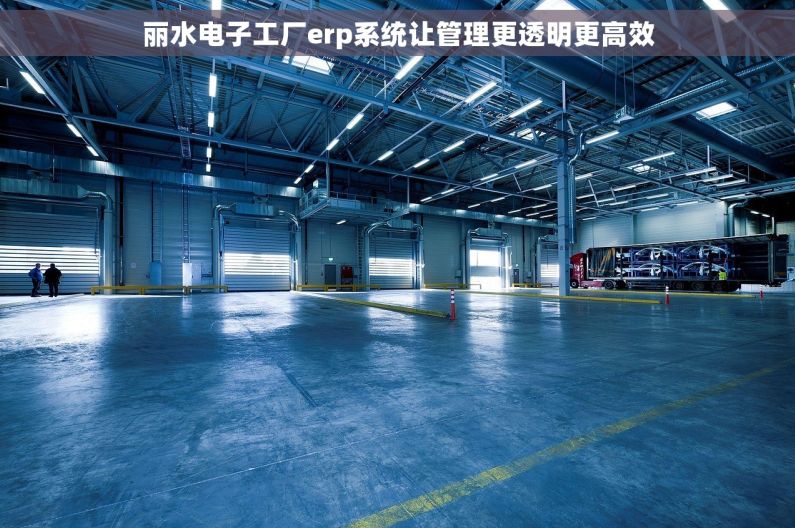 丽水电子工厂erp系统让管理更透明更高效