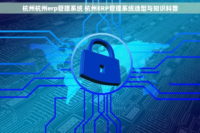 杭州杭州erp管理系统 杭州ERP管理系统选型与知识科普