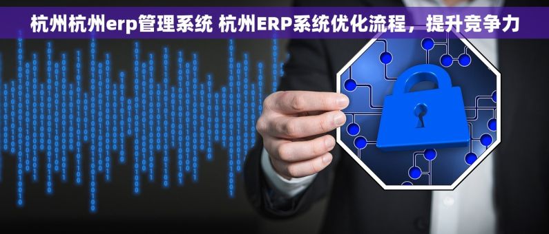 杭州杭州erp管理系统 杭州ERP系统优化流程，提升竞争力