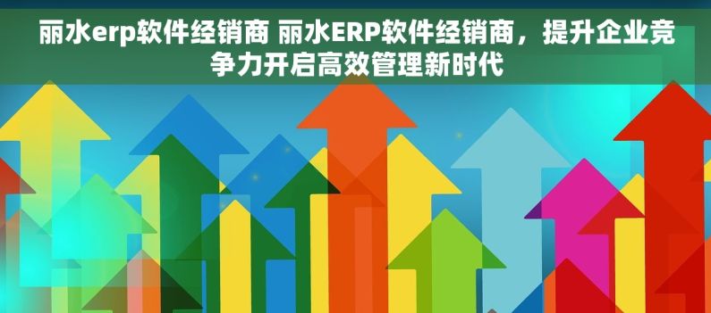丽水erp软件经销商 丽水ERP软件经销商，提升企业竞争力开启高效管理新时代