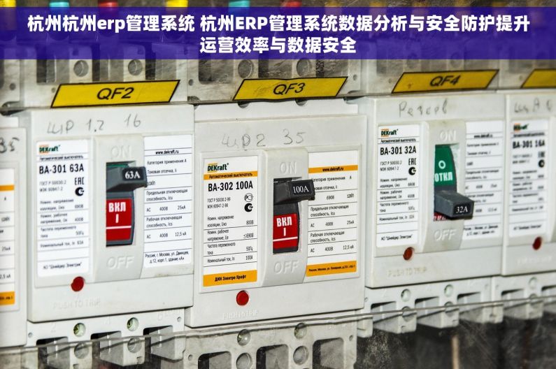 杭州杭州erp管理系统 杭州ERP管理系统数据分析与安全防护提升运营效率与数据安全