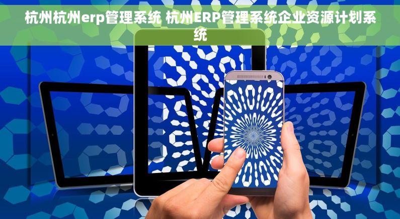 杭州杭州erp管理系统 杭州ERP管理系统企业资源计划系统