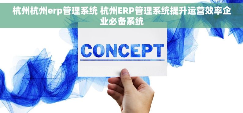 杭州杭州erp管理系统 杭州ERP管理系统提升运营效率企业必备系统