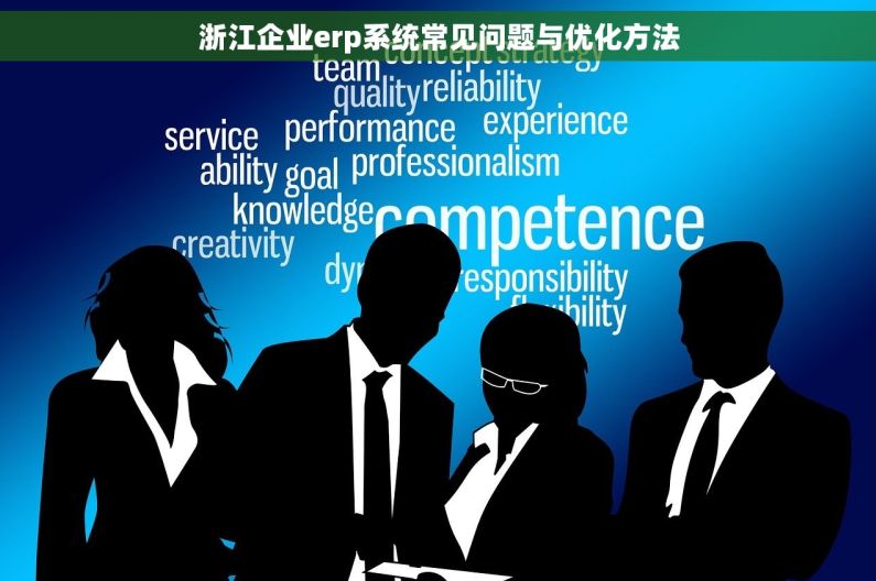 浙江企业erp系统常见问题与优化方法