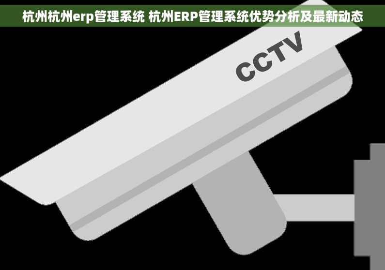 杭州杭州erp管理系统 杭州ERP管理系统优势分析及最新动态