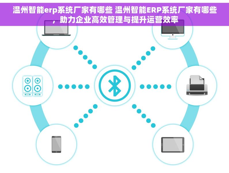温州智能erp系统厂家有哪些 温州智能ERP系统厂家有哪些，助力企业高效管理与提升运营效率