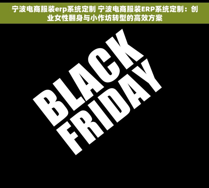 宁波电商服装erp系统定制 宁波电商服装ERP系统定制：创业女性翻身与小作坊转型的高效方案