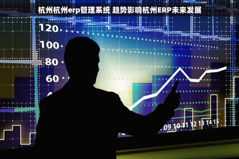 杭州杭州erp管理系统 趋势影响杭州ERP未来发展