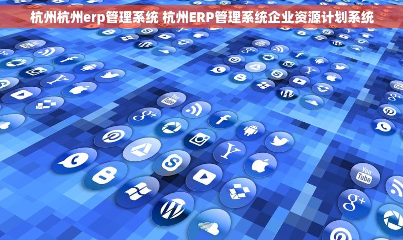 杭州杭州erp管理系统 杭州ERP管理系统企业资源计划系统