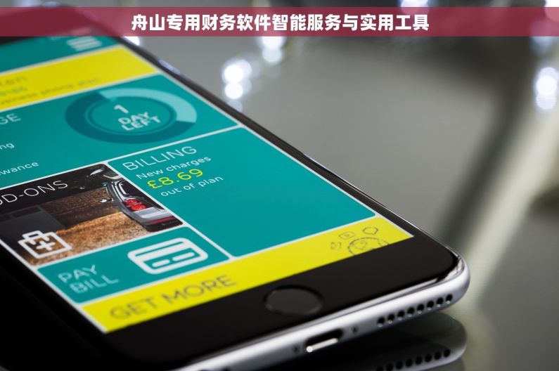 舟山专用财务软件智能服务与实用工具