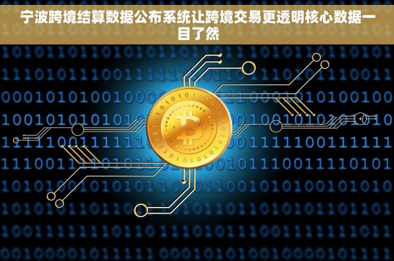宁波跨境结算数据公布系统让跨境交易更透明核心数据一目了然