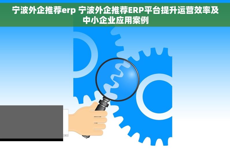 宁波外企推荐erp 宁波外企推荐ERP平台提升运营效率及中小企业应用案例