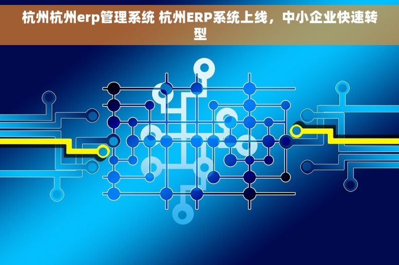 杭州杭州erp管理系统 杭州ERP系统上线，中小企业快速转型