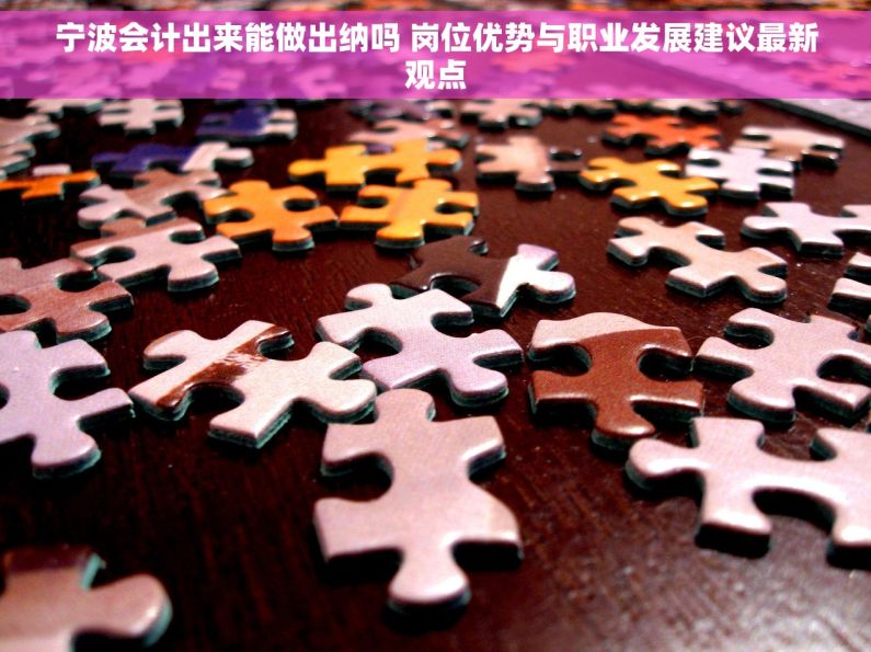 宁波会计出来能做出纳吗 岗位优势与职业发展建议最新观点