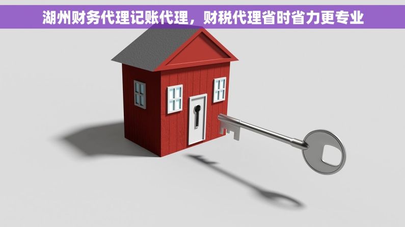 湖州财务代理记账代理，财税代理省时省力更专业