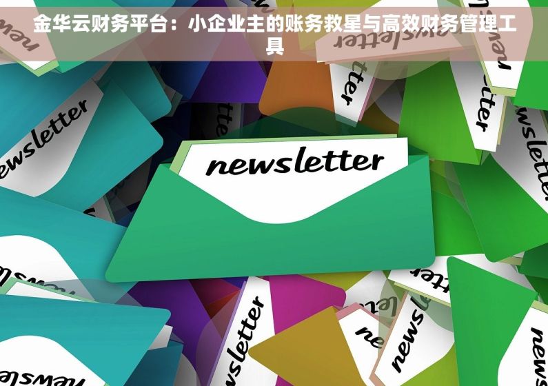 金华云财务平台：小企业主的账务救星与高效财务管理工具