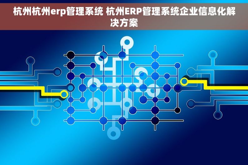 杭州杭州erp管理系统 杭州ERP管理系统企业信息化解决方案